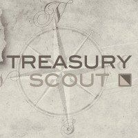 Treasury Scout logo - Similar company to Hedge ▷ Go