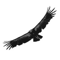 Condor Calibration Services, Inc. logo - Similar company to Rebootcamp.Us