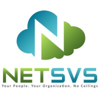 Net Synergy Virtual Solutions logo - Similar company to One More Solution