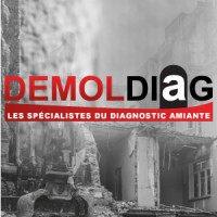 DEMOLDIAG logo - Similar company to Ast Holland Bv