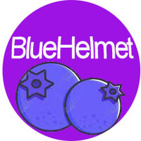 BLUE HELMET Blueberry Trading logo - Similar company to All Tab Srl