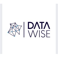 DataWise Inteligência de Dados logo - Similar company to O Financeiro Online