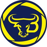 Buffalo Media logo - Similar company to Palakiya Foundation
