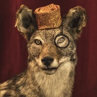 Bold Escape Rooms in The Strip District logo - Similar company to Strategic Public Partners