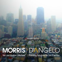 Morris+D'Angelo -- Not Just another CPA Firm logo - Similar company to Spa Associates