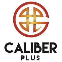 Caliber Plus (Pvt) Ltd logo - Similar company to Dx Advisory