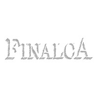 FINALCA Srl logo - Similar company to Wieser Engineering & Consulting Srl