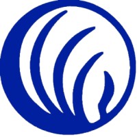 NAMI Central Iowa logo - Similar company to Wingo Solutions Limited
