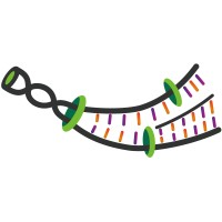 Bioengineering Clarion logo - Similar company to Deeptrait