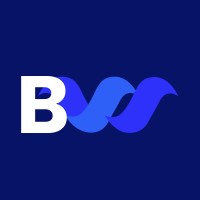 Blue Wave Capital logo - Similar company to Shopnet Mx