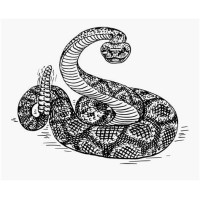 Rattlesnake Systems logo - Similar company to Dfa Systems