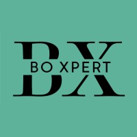 BoXpert logo - Similar company to Ems Easy Media Solutions