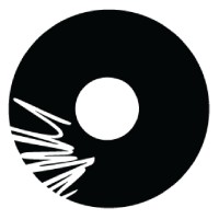 Elinvision logo - Similar company to Net Commesh