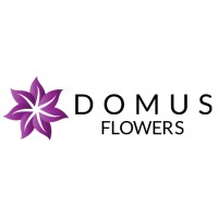 Domus Flowers logo - Similar company to Florius Flowers