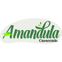 Amandula Caracciolo logo - Similar company to Euro Spid
