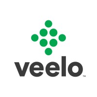 Veelo - A Bigtincan™ Company logo - Similar company to Rare Comet Llc