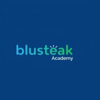 Blusteak Academy logo - Similar company to Blusteak Media