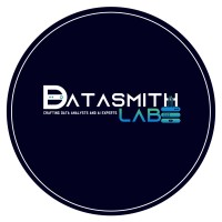 DataSmith Lab logo - Similar company to Datasmith Insights