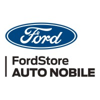 Ford Auto Nobile logo - Similar company to Sardar It