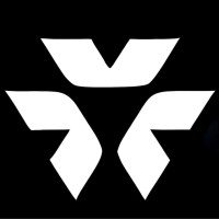ViwSecurity logo - Similar company to World Informatix Cyber Security