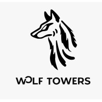 WolfTowers Sa de Cv logo - Similar company to Wolftowers