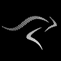 Kenguru Pro US logo - Similar company to The Intuit