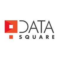DATA SQUARE Brasil logo - Similar company to Skylan Technology
