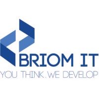 Briom IT logo - Similar company to Techno Dhaka