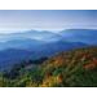 Blue Ridge Forestry