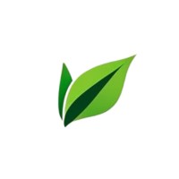 CarboNova logo - Similar company to Carbonova