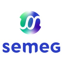 Sociedad Española de Medicina Geriátrica logo - Similar company to Sociedad Española De Geriatría Y Gerontología (Segg)