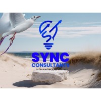 SYNC CONSULTANTS LLC logo - Similar company to Aiintellect Llc