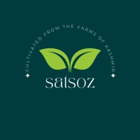 Satsoz logo - Similar company to Taglay