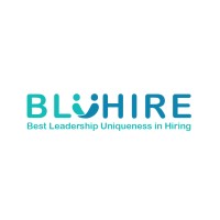 BluHire logo - Similar company to Cozy Systems