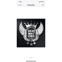 dominators logo - Similar company to Bimv