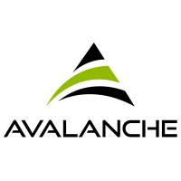 Avalanche Studio Pte Ltd logo - Similar company to Medical Frontier Technology Ltd.