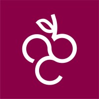 Vinsel Vinhos logo - Similar company to Amsi Networks