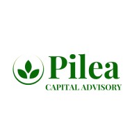 Pilea Capital Advisory logo - Similar company to Distinctive Finance