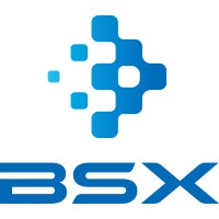BSX Corporation logo - Similar company to Totality Platform