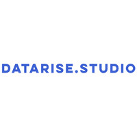 DataRise Studio logo - Similar company to Datarise