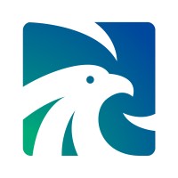 Falconsoft Systems Ltd logo - Similar company to Women Empowerment Network Uk