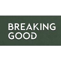 Breaking Good logo - Similar company to Kadari Tech Solutions Llp