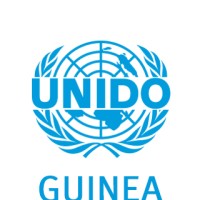 ONUDI Guinée logo - Similar company to Cfao Mobility Guinee