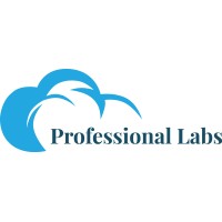 Professional Labs logo - Similar company to Intrinsic Security
