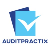 Auditpractix