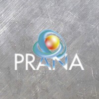 Prana S.r.l. logo - Similar company to Mcfrancis