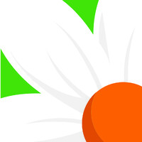 Bayview Flowers Ltd logo - Similar company to Demex Group