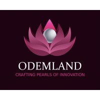 Odemland logo - Similar company to Bigrev