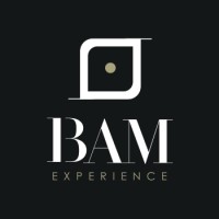 BAM logo - Similar company to Wildar Gaming