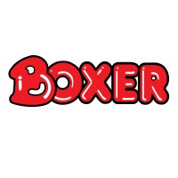 Boxer Superstores logo - Similar company to Ackermans